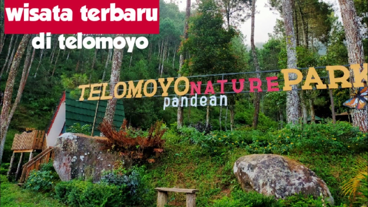 Telomoyo Nature Park: Pesona Alam dan Legenda di Lereng Gunung Berapi